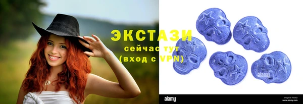 дживик Вязьма