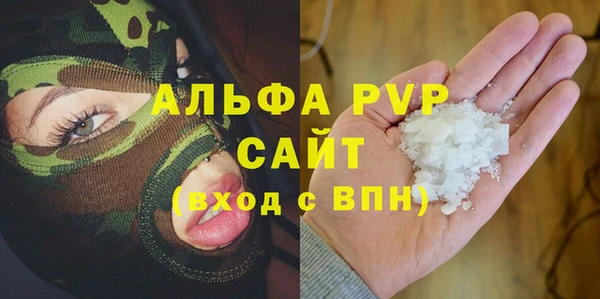 дживик Вязьма