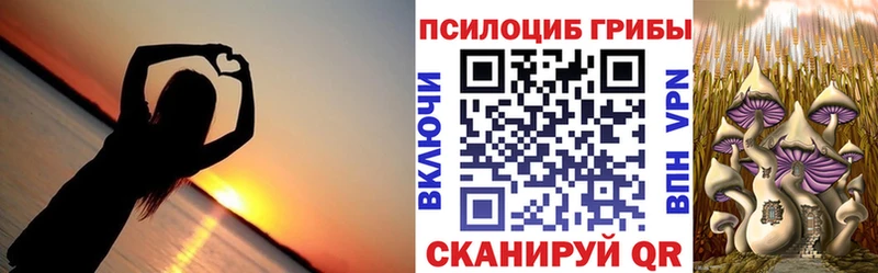 Псилоцибиновые грибы GOLDEN TEACHER Купить Нытва